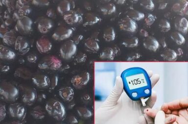 சர்க்கரை நோயாளிகளுக்கு வரப்பிரசாதம் — நாவல் பழத்தின் அற்புத நன்மைகள்!